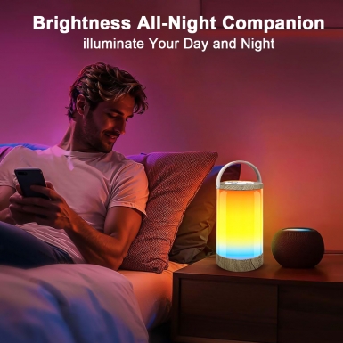 LED室内灯 - HCP030 手提氛围灯